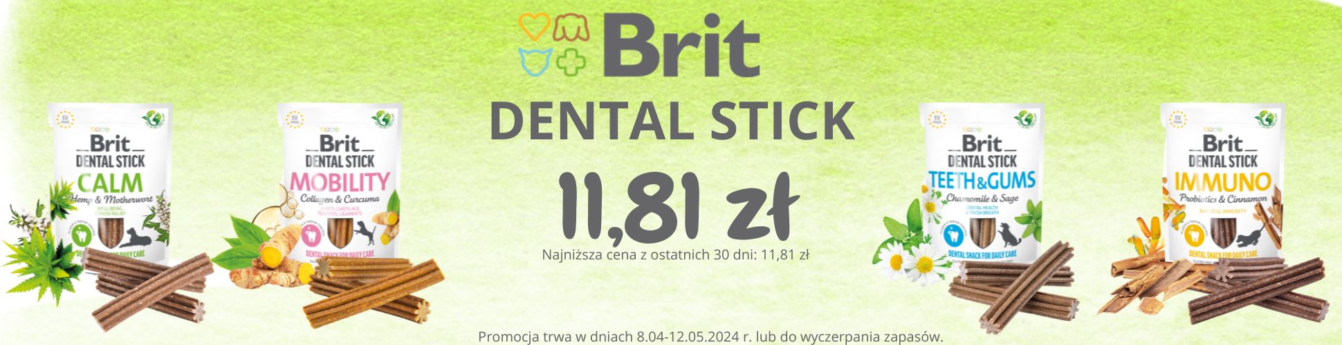 Brit Dental promocja